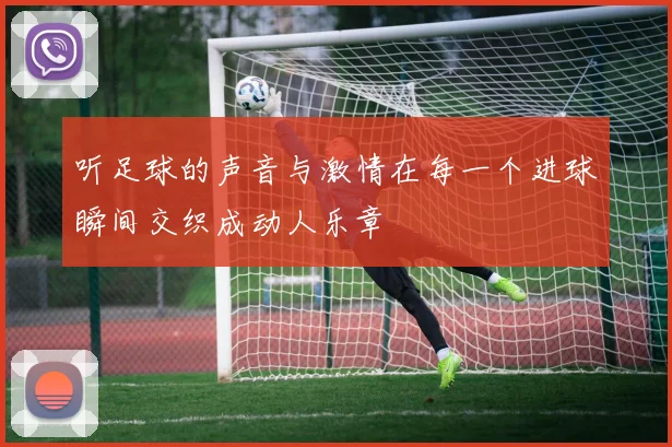 听足球的声音与激情在每一个进球瞬间交织成动人乐章