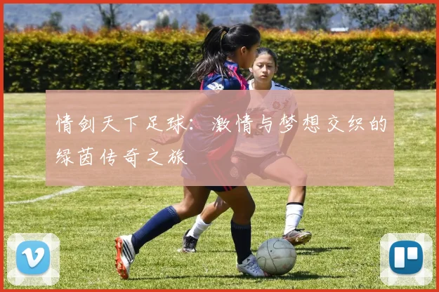 情剑天下足球：激情与梦想交织的绿茵传奇之旅