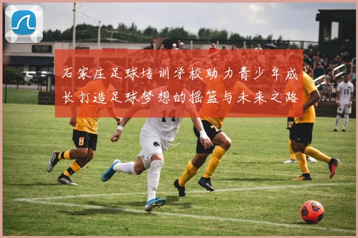 石家庄足球培训学校助力青少年成长打造足球梦想的摇篮与未来之路
