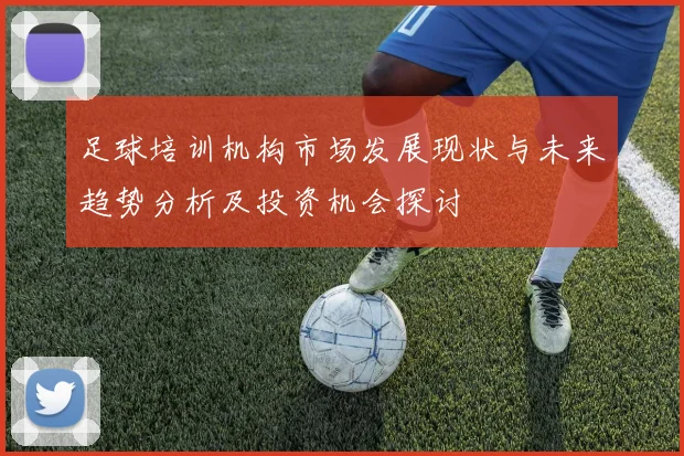 足球培训机构市场发展现状与未来趋势分析及投资机会探讨