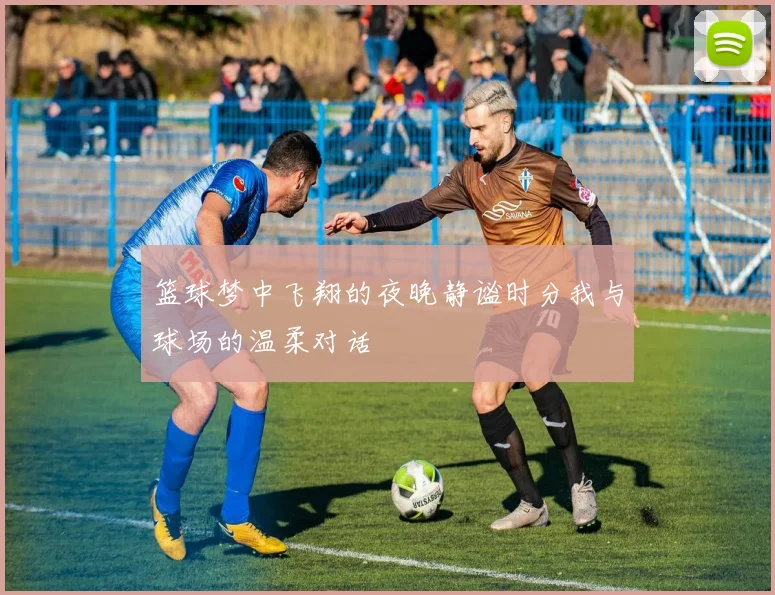 篮球梦中飞翔的夜晚静谧时分我与球场的温柔对话