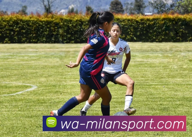 米兰体育中国平台生态图